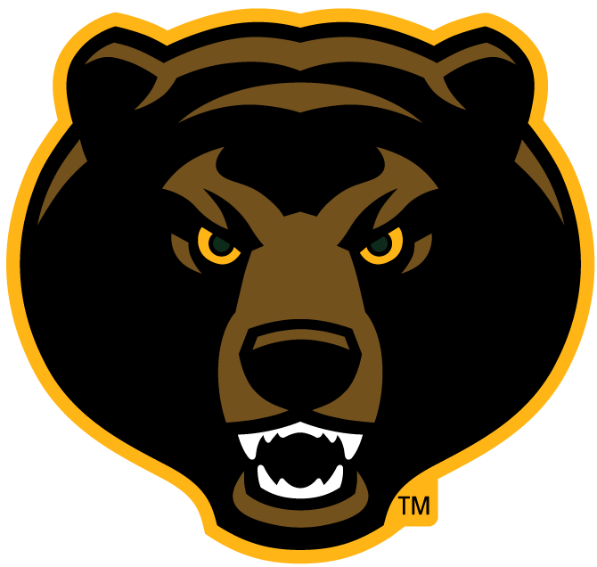 Baylor Bears 2005-Pres Alternate Logo v6 iron on transfers for fabric